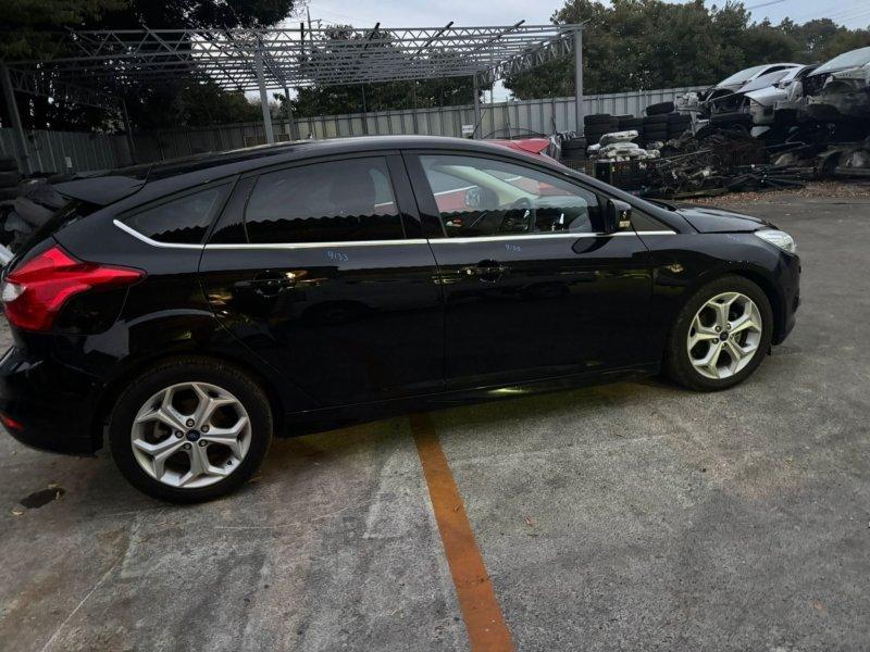 Фото донора 4