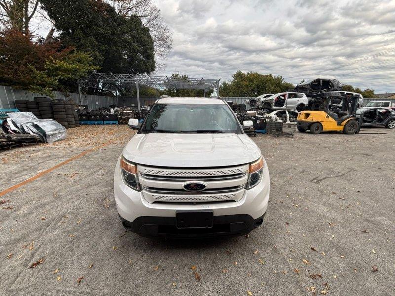 Фото донора 1