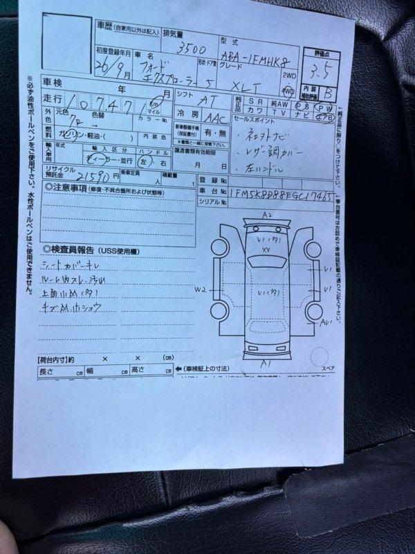 Фото донора 2